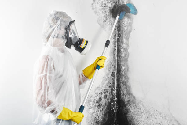 Best Mold Remediation for Healthcare Facilities  in Key Center, WA