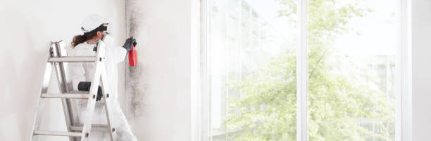 Best Mold Odor Removal Services  in Key Center, WA